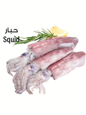 Squid