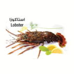 Lobster