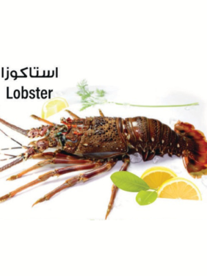 Lobster
